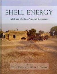 Produktbild: Shell Energy