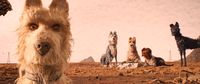 Isle of Dogs - Ataris Reise
