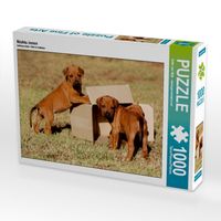 Produktbild: CALVENDO Puzzle Nichts innen | 1000 Teile Lege-Gr&ouml;&szlig;e 64x48cm Foto-Puzzle f&uuml;r gl&uuml;ckliche Stunden