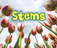 Produktbild: All About Stems