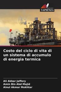 Produktbild: Costo del ciclo di vita di un sistema di accumulo di energia termica