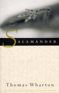 Produktbild: Salamander