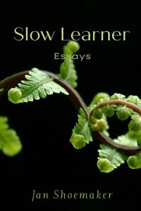 Produktbild: Slow Learner