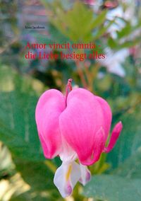 Produktbild: Amor vincit omnia - die Liebe besiegt alles
