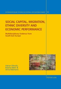 Produktbild: Social capital, migration, ethnic diversity and economic performance