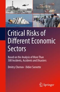 Produktbild: Critical Risks of Different Economic Sectors