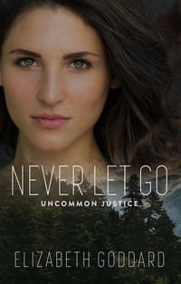 Produktbild: Never Let Go