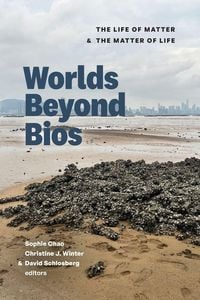 Produktbild: Worlds Beyond Bios