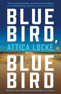 Bild vom Artikel Bluebird, Bluebird vom Autor Attica Locke