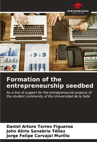 Produktbild: Formation of the entrepreneurship seedbed