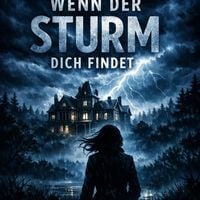 Produktbild: Wenn der Sturm dich findet