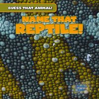 Produktbild: Name That Reptile!