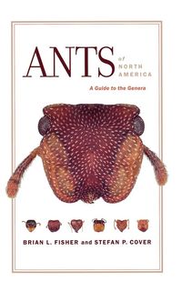 Produktbild: Ants of North America