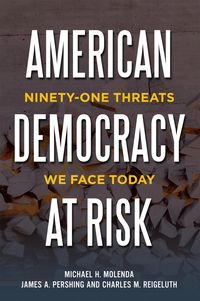 Produktbild: American Democracy at Risk: