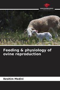 Produktbild: Feeding & physiology of ovine reproduction