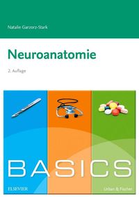 Bild vom Artikel Basics Neuroanatomie vom Autor Natalie Garzorz-Stark