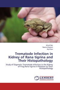 Produktbild: Trematode Infection in Kidney of Rana tigrina and Their Histopathology