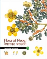 Produktbild: Flora of Nepal