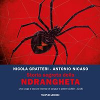 Produktbild: Storia segreta della 'ndrangheta