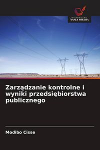 Produktbild: Zarz&iquest;dzanie kontrolne i wyniki przedsi&iquest;biorstwa publicznego