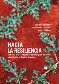 Bild vom Artikel Hacia la Resiliencia vom Autor Marilise Turnbull