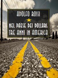 Produktbild: Nel paese dei dollari: tre anni in America