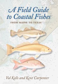Produktbild: A Field Guide to Coastal Fishes