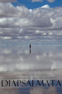 Produktbild: Diapsalmata (Selected Ambient Works, #1)