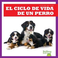 Produktbild: El Ciclo de Vida de Un Perro (a Dog's Life Cycle)