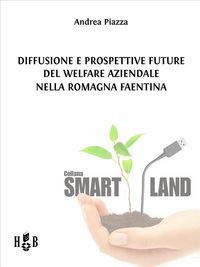 Produktbild: Diffusione e prospettive future del welfare aziendale nella Romagna Faentina