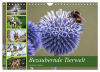 Produktbild: Bezaubernde Tierwelt in freier Natur (Wandkalender 2026 DIN A4 quer), CALVENDO Monatskalender