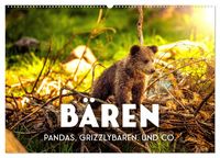 Produktbild: B&auml;ren - Pandas, Grizzlyb&auml;ren und Co. (Wandkalender 2026 DIN A2 quer), CALVENDO Monatskalender