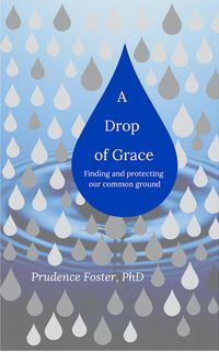 Produktbild: A Drop of Grace: Finding and Protecting our Common Ground