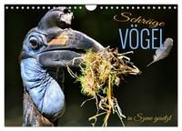 Produktbild: Schr&auml;ge V&ouml;gel in Szene gesetzt (Wandkalender 2026 DIN A4 quer), CALVENDO Monatskalender