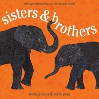 Produktbild: Sisters & Brothers