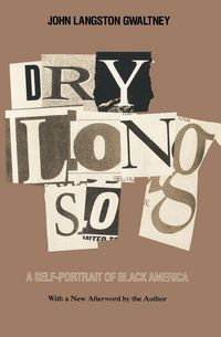 Produktbild: Drylongso