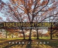 Produktbild: Light Through the Trees