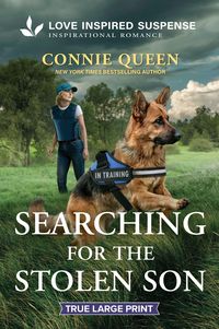 Produktbild: Searching for the Stolen Son
