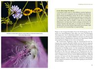 Fertig zum Einzug: Nisthilfen für Wildbienen