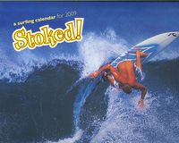 Produktbild: Stoked! A Surfing Calendar For 2009