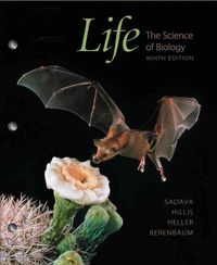 Produktbild: Life 9/e