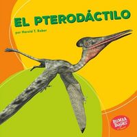 Produktbild: El pterod&aacute;ctilo (Pterodactyl)