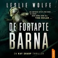 Produktbild: De fortapte barna