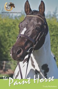 Produktbild: The Paint Horse (White Cloud Station, #10)