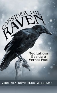 Produktbild: Consider the Raven