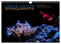Produktbild: UNTER WASSER Riffaquaristik (Wandkalender 2026 DIN A4 quer), CALVENDO Monatskalender