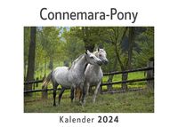 Produktbild: Connemara-Pony (Wandkalender 2024, Kalender DIN A4 quer, Monatskalender im Querformat mit Kalendarium, Das perfekte Geschenk)