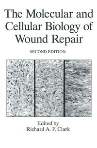 Produktbild: The Molecular and Cellular Biology of Wound Repair