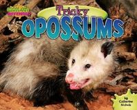 Produktbild: Tricky Opossums