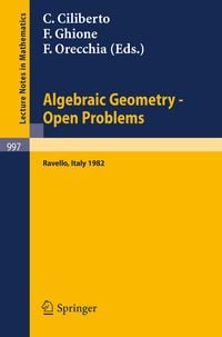 Produktbild: Algebraic Geometry - Open Problems